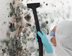 Why You Should Choose Our Mold Remediation Services in West Liberty, OH